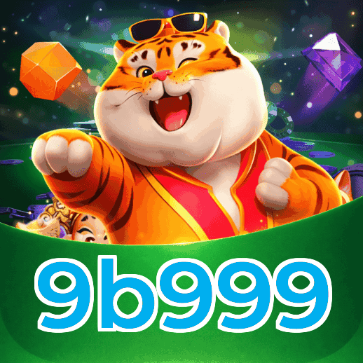 FAQ - Perguntas Frequentes 9b999